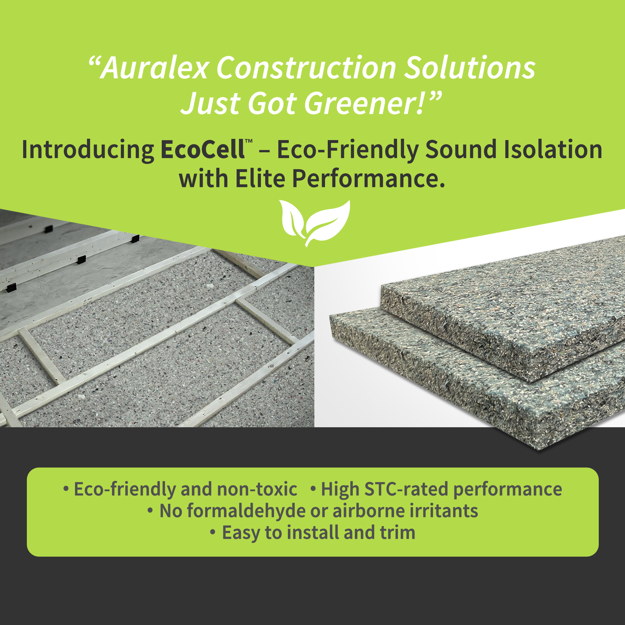Image and description of Auralex EcoCell